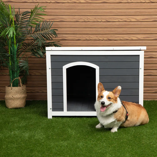 Outdoor Wood Dog House