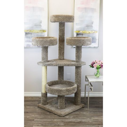 Maine Coon Tower Cat Condo