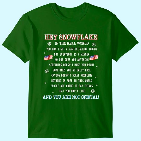 Hey Snowflake the real world veteran shirt