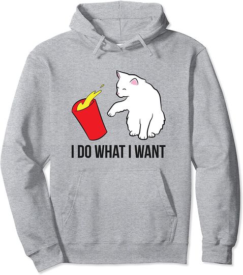 I Do What I Want Funny Cats Pullover Hoodie